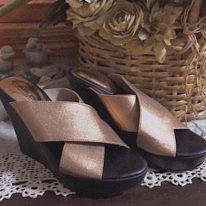 Charles David Sz 7 1/2 Copper Wedges NWOT
